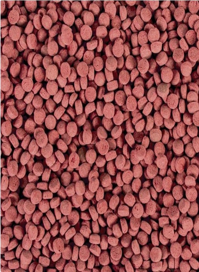 Tropical Krill Gran XXL Super Tasty Food for Large Species of Omnivorous and Carnivorous Freshwater & Saltwater Fish 250ml/125g - 61344 - Image 2